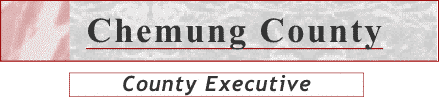 County Executive